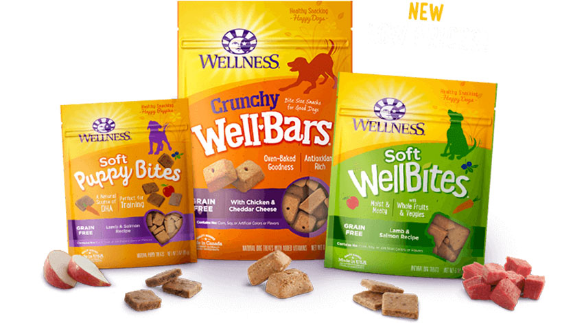 Dog wellness and nutrition